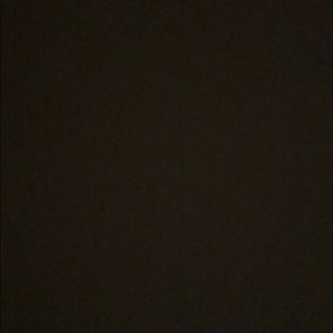 Meet your Posher, Whitney